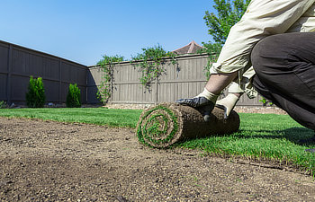 roll of fresh sod for new lawn