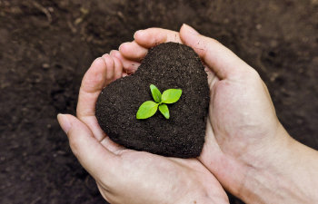 hands full of heart shaped soil, 